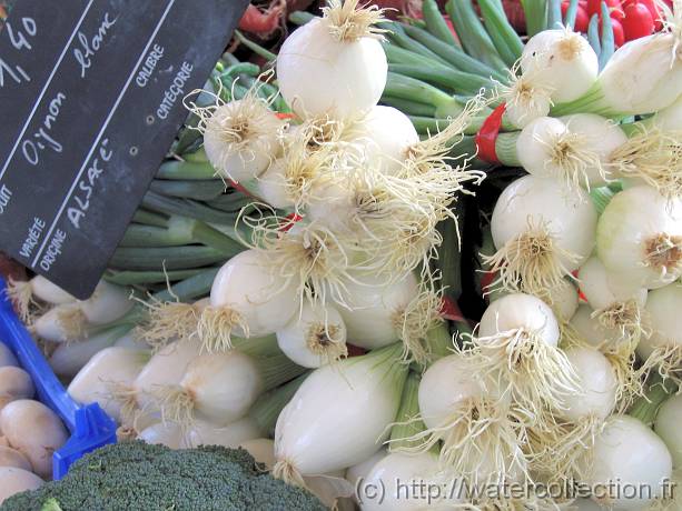 2007-05-12_08-32-29_Mai_65,4mm_1_60_eme_Canon PowerShot A95 